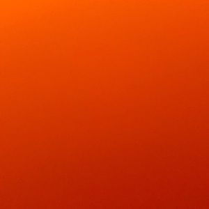 Meet your Posher, Rogerick